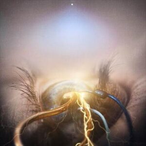 The Agonist cover1