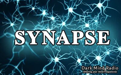 Synapse Show Starting 16th of March!