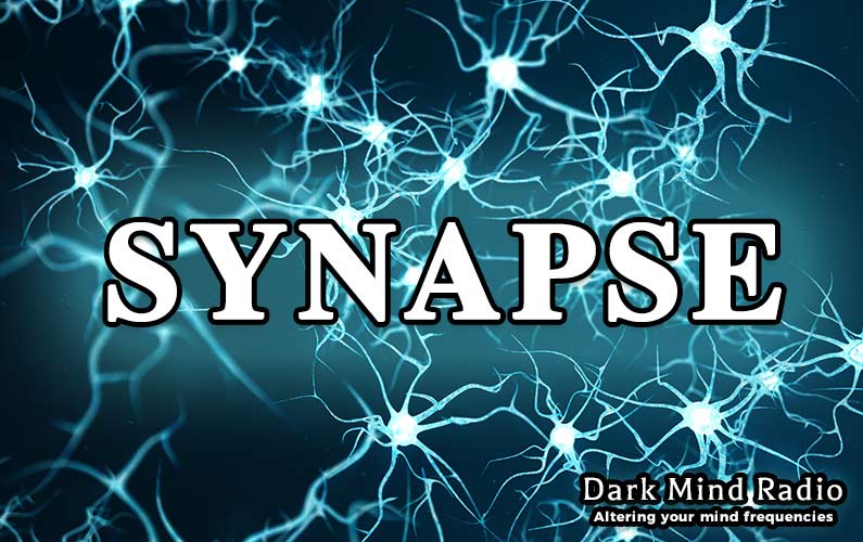Synapse Show Starting 16th of March!