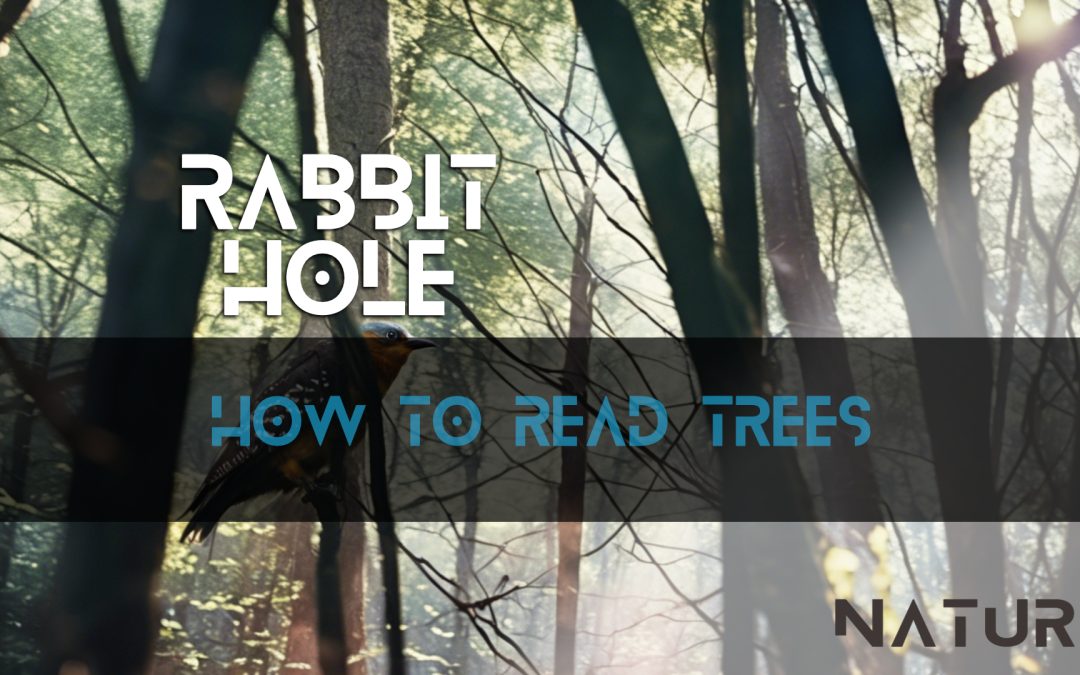 How to Read Trees