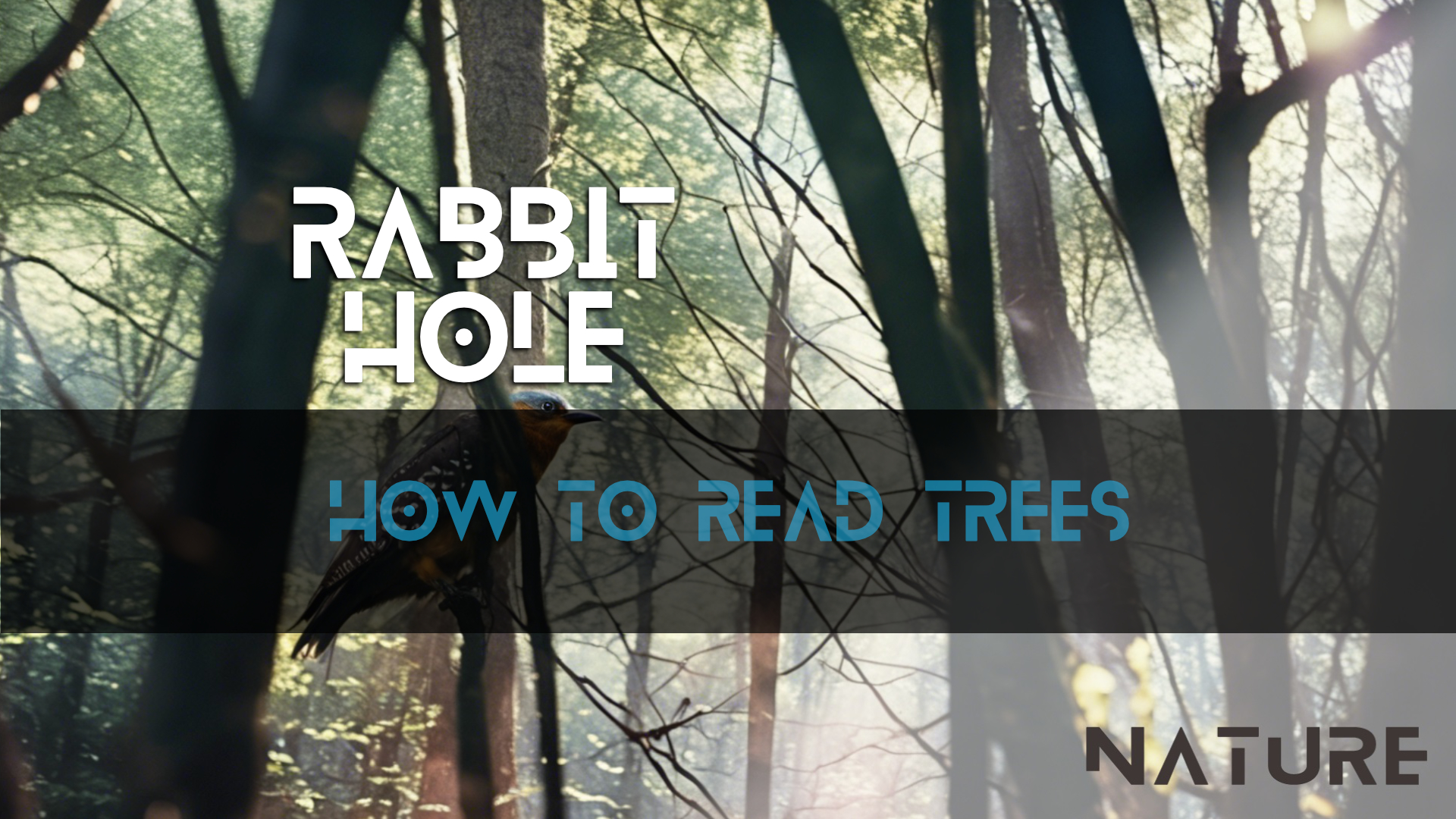 How to Read Trees